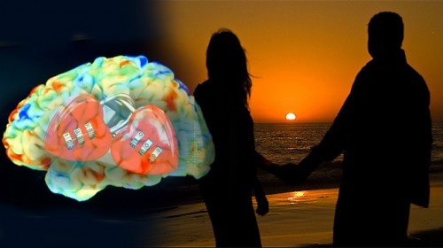 Cupido apunta a la cabeza: ¿Qué pasa en nuestro cerebro cuando nos enamoramos? Cupido apunta a la cabeza: ¿Qué pasa en nuestro cerebro cuando nos enamoramos?