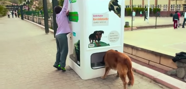 Las máquinas que pueblan Estambul brindan una porción de comida para cualquier perro o gato callejero cada vez que una persona echa dentro una botella de plástico.