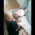 Conmovedora amistad entre una niña y su perro.