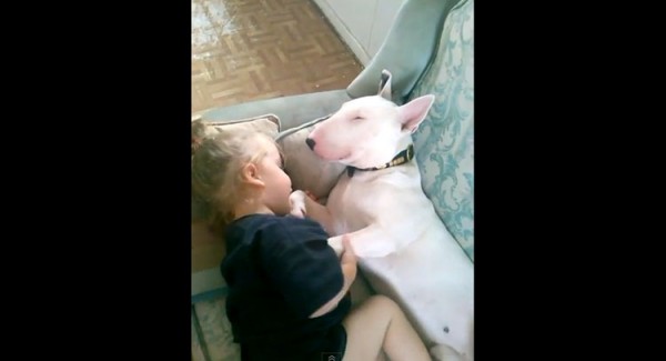 Conmovedora amistad entre una niña y su perro.
