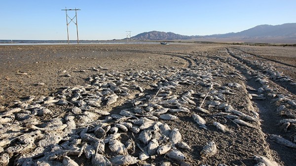 El lago apocalíptico que amenaza a EE.UU. con una catástrofe ecológica.