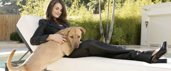 Penélope Cruz adoptó a ‘Vino’ cuando se encontraba filmando la película ‘Bandidas’ en México. El perro la siguió durante varios días y se ganó el corazón de la actriz.