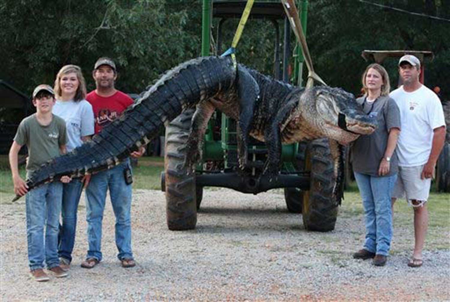 Cazan cocodrilo gigante en Alabama; pesaba casi media tonelada