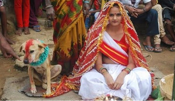 Niña india se casa con un perro callejero para evitar una maldición.