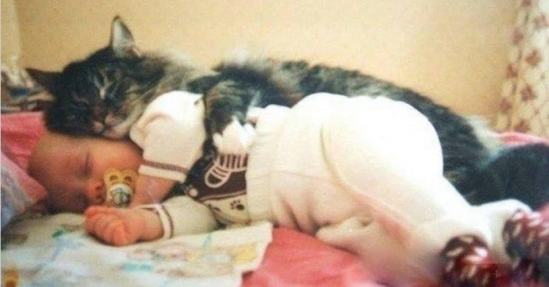 Esta es la razón por la cual los gatos duermen encima de sus humanos y no es lo que pensabas Esta es la razón por la cual los gatos duermen encima de sus humanos y no es lo que pensabas