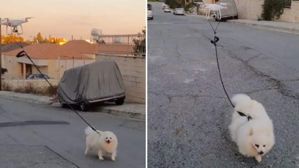 Por la cuarentena: hombre pasea a su perro con un drone por las calles de Chipre