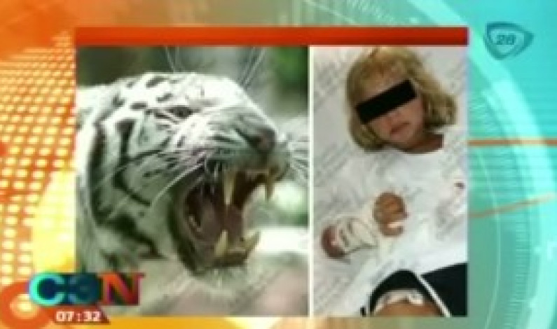 Tigre atacó a niño italiano al interior de un hotel de Cancún