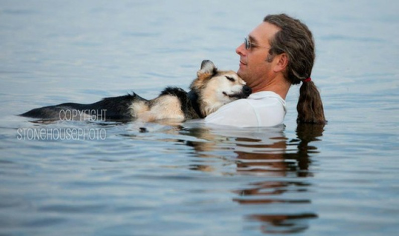 FOTOS: Imágenes que demuestran que no hay nadie más fiel que un perro