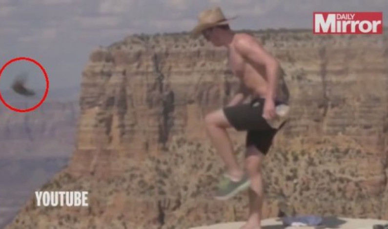 VÍDEO: Hombre hizo ‘volar’ a ardillita de una patada desde el Gran Cañón