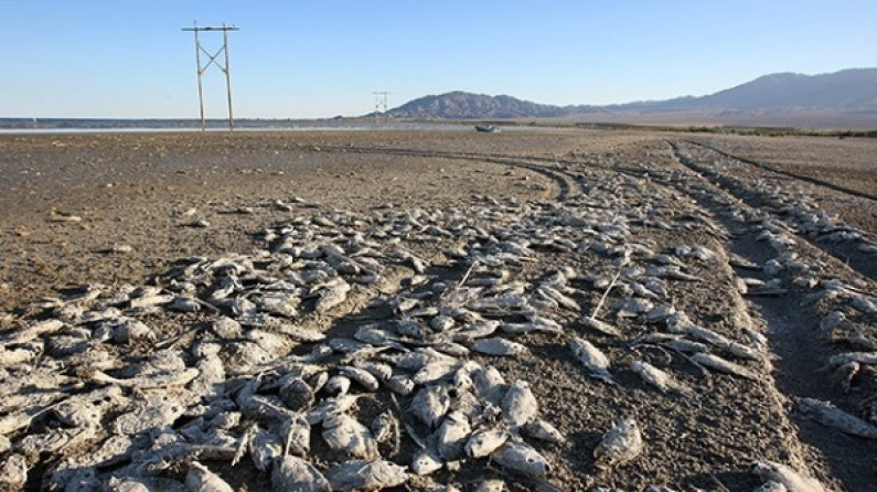 El lago apocalíptico que amenaza a EE.UU. con una catástrofe ecológica