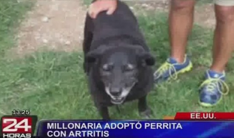 VÍDEO: Mujer millonaria adoptó a perra que fue rechazada por tener artritis