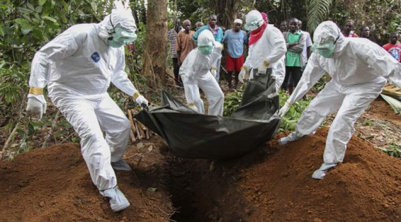 OMS : Emergencia de salud pública mundial, Brote del ébola