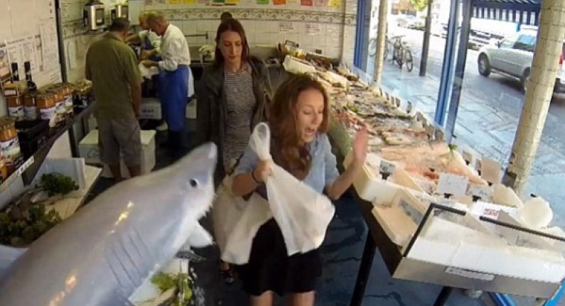 VÍDEO: Tiburón intentó ‘atacar’ a varias personas en Londres