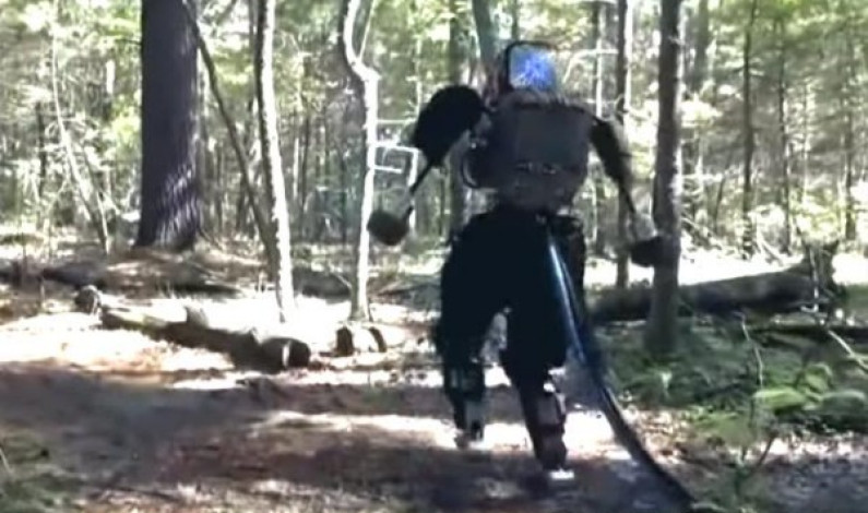 YouTube: Un robot de Google sale a pasear por el bosque