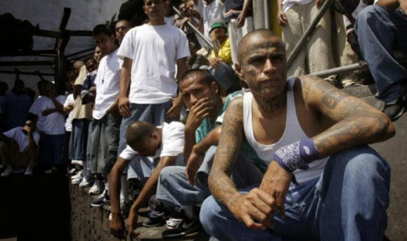En Latinoamérica se cuatriplican las probabilidades de morir violentamente