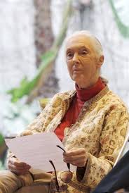 Jane Goodall destaca labor de conservación en selva peruana