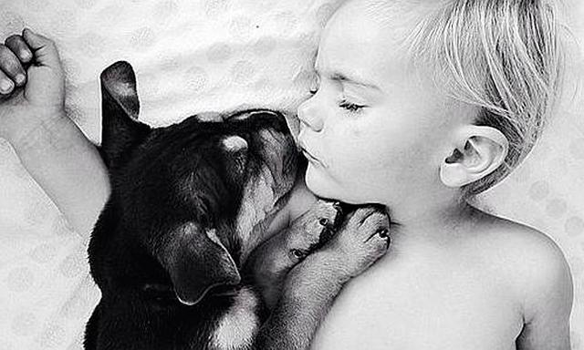 Beau y Theo: el niño y cachorro que no pueden dormir separados (Fotos)