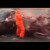 Ballena muerta explota cuando le intentan abrir el estómago (VIDEO)
