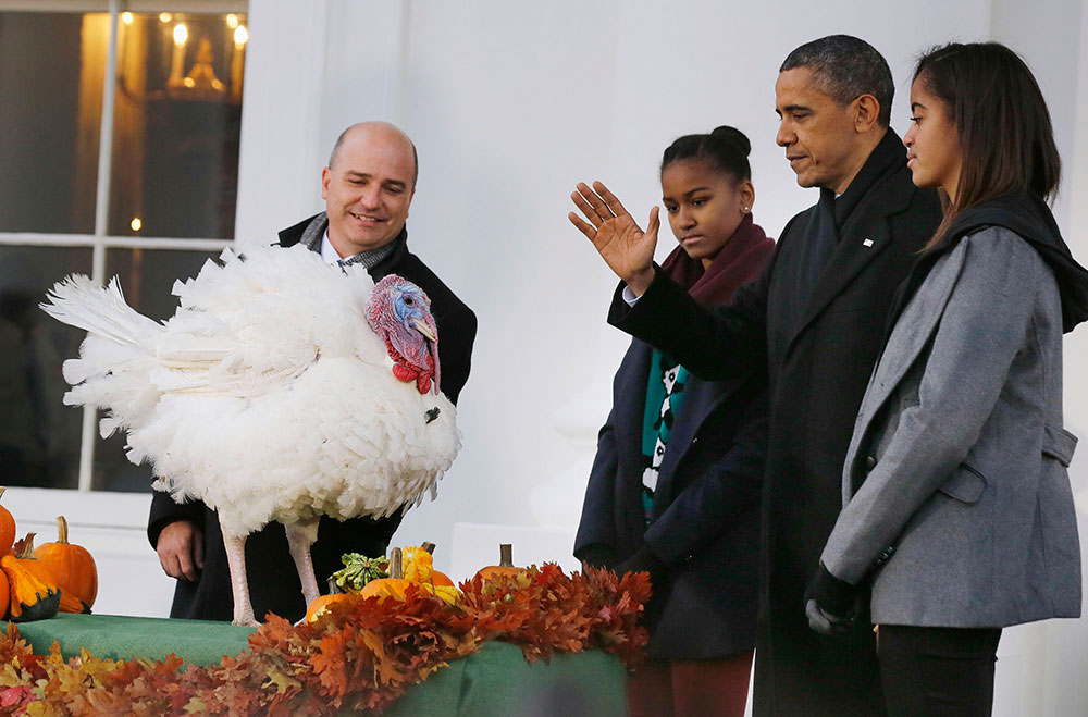 Obama ‘perdona’ a dos pavos previo a celebración de Acción de Gracias