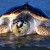 Una petrolera ‘obliga’ a tortugas y cetáceos a oír explosiones ‘nucleares’ cada 10 segundos
