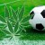 Uruguay legalizó marihuana pero jugadores no podrán consumirla
