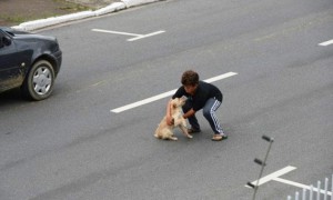 Niño Heroe