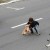 Niño arriesgó su vida para salvar a perro en autopista de Brasil