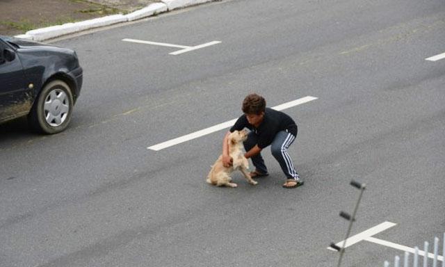 Niño arriesgó su vida para salvar a perro en autopista de Brasil