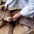 Una ternera con dos cabezas nació en Marruecos