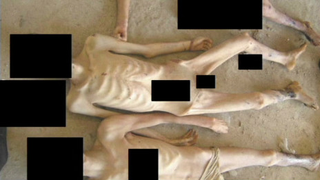 Acusan a gobierno sirio de torturar y ejecutar a 11.000 personas