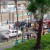 Miraflores: una camioneta se incendió en la bajada del malecón Balta