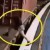 VIDEO: Mujer saltó a las vías de un tren rápido y fue arrollada, pero…
