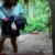 Tarapoto: joven con retraso mental que era amarrada a un tronco fue violada