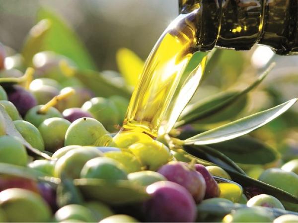 Las maravillas que el aceite de oliva hace sobre tu salud