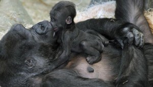 El bebé, que aún no tiene nombre, le da un beso en los labios a su madre en esta imagen. (Foto: Caters News Agency)