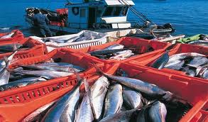 La Haya: Eventual fallo a favor de Perú no tendría gran impacto en la pesca
