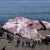 Calamares radiactivos gigantes en California, y la proliferación de falsos mutantes de Fukushima