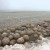 ‘Insólito’ ¿Hallan ‘huevos extraterrestres’ en lago de EEUU?