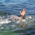 Pastor se ahoga por intentar caminar en el agua como Jesús