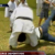 Karateka tumba a reportera de televisión en vivo