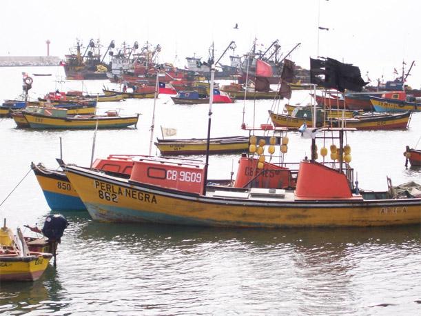 Arica: Pescadores chilenos alistan medidas de fuerza si fallo de La Haya es adverso