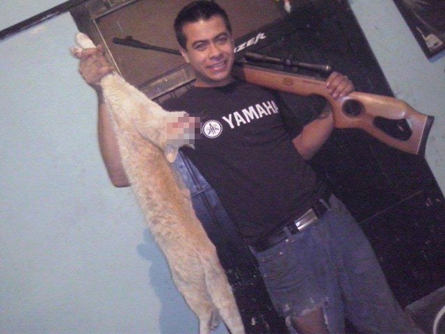 Indignante: Mata un gato y lo publica en el Facebook en México