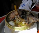 Bolivianos tienen su "viagra": una sopa con el miembro viril del toro