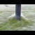 VIDEO: ¿Cuál es el misterio de esta rara telaraña que cubre todo un campo?