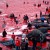 DINAMARCA: cientos de delfines y ballenas mueren en horrorosa matanza tradicional