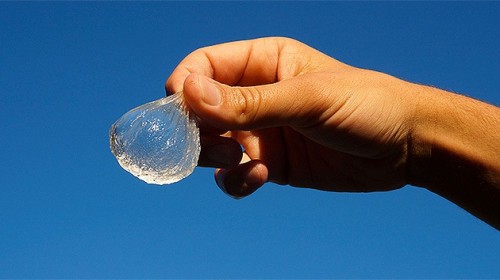 Botellas de agua comestibles para luchar contra el plástico