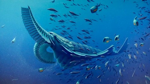 VIDEO: Hallan fósiles de extraños gigantes marinos