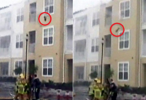 VIDEO: Gato se lanza del tercer piso de un edificio en llamas
