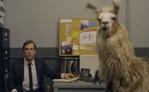 Llama Cop, la nueva comedia que arrasará en Youtube.