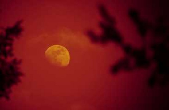 ¿La luna roja es una señal apocalíptica?
